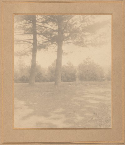 木々のある風景 作： Joseph T. Keiley