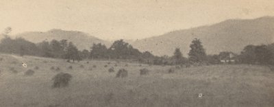 木々と山のある風景,c.1900年（写真） 作： ジョセフ・ケイリー