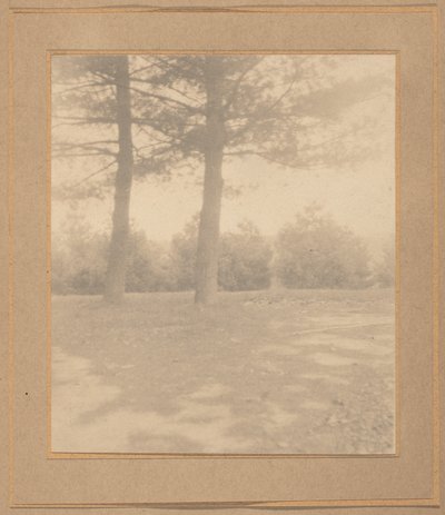 木々のある風景,c.1900年（写真） 作： ジョセフ・ケイリー