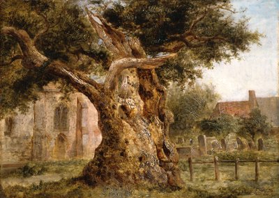オールドオーク、1870 作： Joseph Thors