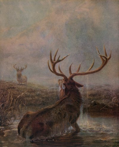 中断、1875、1938 作： Joseph Wolf