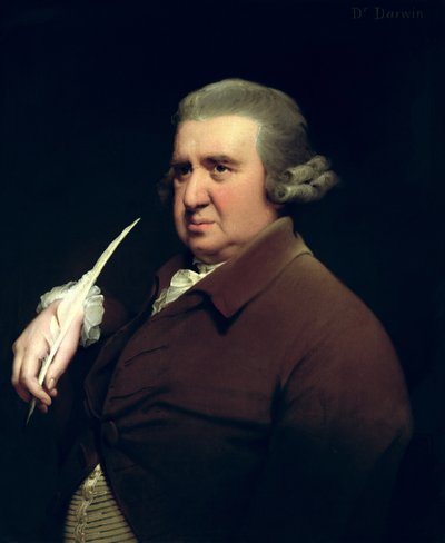 エラズマス・ダーウィン博士（1731-1802）の科学者、発明家、詩人、チャールズ・ダーウィンの祖父の肖像 作： Joseph Wright of Derby