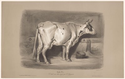 馬小屋の牛 Vache (オブジェクトのタイトル) 2 種類のチョークでの動物研究 (シリーズ タイトル) Étude aux deux crayons par Z. Gengembre (オブジェクトのシリーズ タイトル) 作： Joseph Zephyris Gengembre