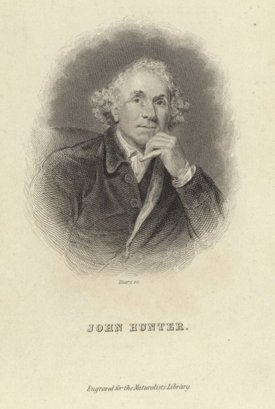ジョン・ハンター 作： Joshua Reynolds