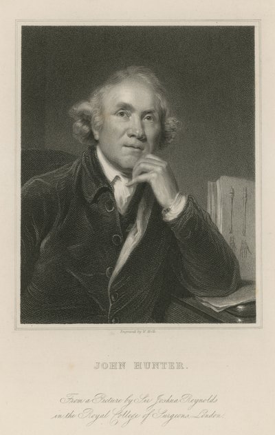 ジョン・ハンター 作： Joshua Reynolds