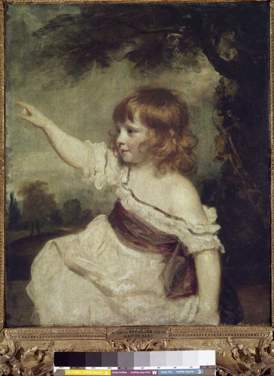 マスター・ヘアー（フランシス・ジョージ・ヘアー（油彩・キャンバス 作： Joshua Reynolds