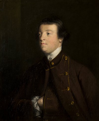 ウィリアム・ロウザー卿の肖像、第3 Bt.、1747-56年頃（キャンバスに油彩） 作： Joshua Reynolds
