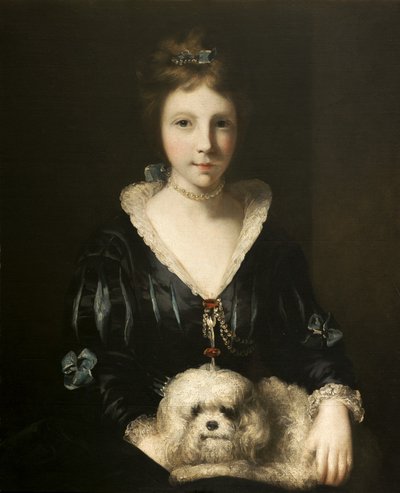 ミスリスター 作： Joshua after Reynolds