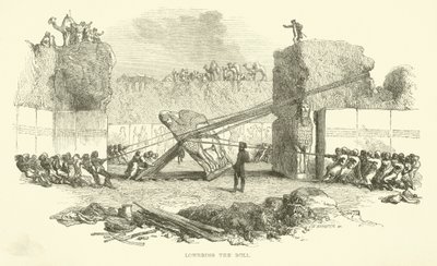 雄牛を下げる 作： Josiah Wood Whymper
