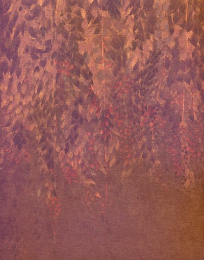  作： Josie George