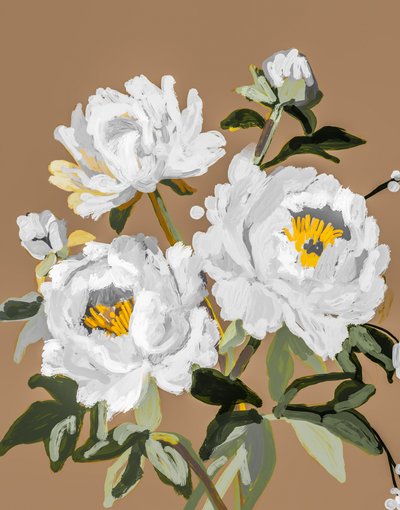 白い牡丹の花 作： 