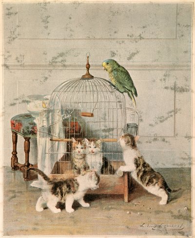 シャトン 作： Josse Photo