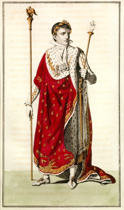 ナポレオン・アイルランド人 作： Josse Photo