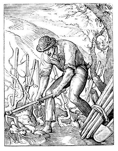 The Winegrower」（リトグラフ）（モノクロ写真） 作： Jost (after) Amman