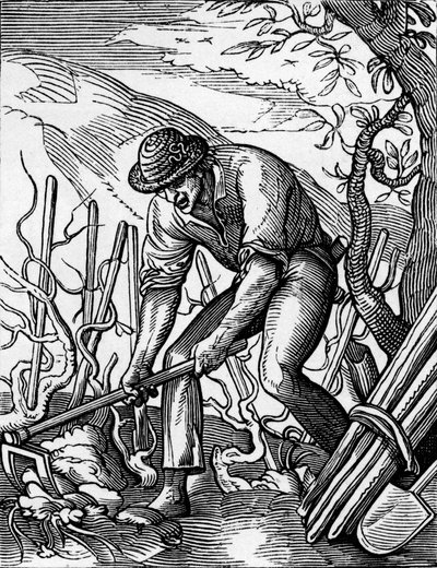 The Winegrower   1464032   ja       japanese Successfully Translated  Original: Italy, Piedmont Region, Alessandria Province, Serralunga di Crea, Sacro Monte di Crea, Sanctuary of Santa Maria Assunta, Chapel of St Margaret of Antioch, Fresco depicting Pale 作： Jost (after) Amman