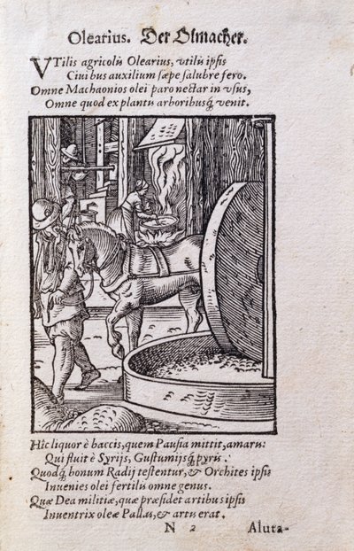 オイルメーカー、ハンス・サックス（1494-1576）の詩による「De Omnibus Illiberalibus Sive Mechanics Artibus」のラテン語版のイラスト。1574年（木版）。 作： Jost Amman