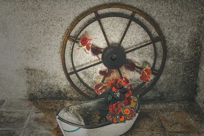 シリーズ『Chapelle du Canal』より「Flowers for the Mariners」、2016年（写真） 作： ジョイライオンズ