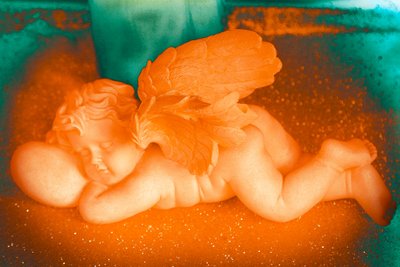 ゴールデン・チェラブ、2016年（写真） 作： ジョイライオンズ