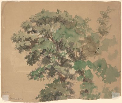 ツリー [裏面] 作： Jr. Enoch Wood Perry
