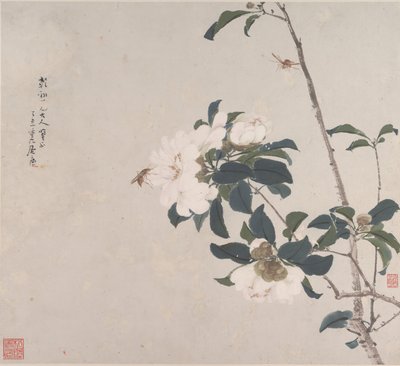昆虫と花。 作： Ju Lian