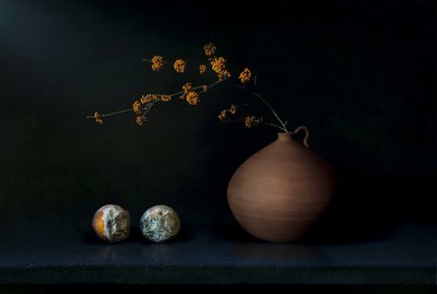 果物をあしらった暗い静物画 作： 