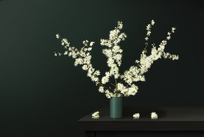 春の新鮮な花々 作： 