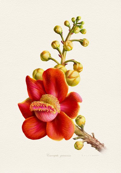  作： Juan Hernaz