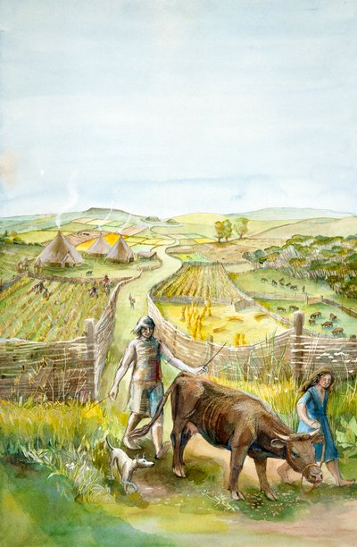 田園風景、2000BC、c1990-2010 作： Judith Dobie