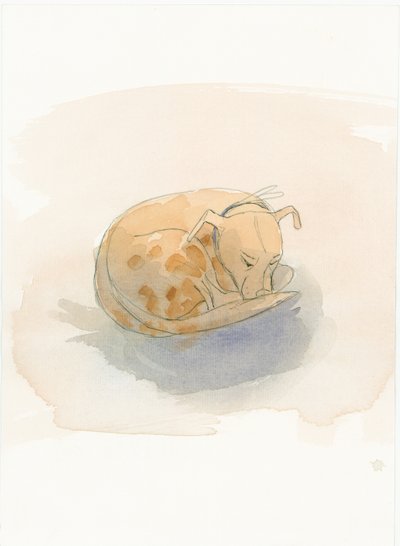 眠る犬、2003年。 作： Judith Dobie