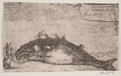 アイダーシュテットに座礁したクジラ 作： Jürgen Ovens