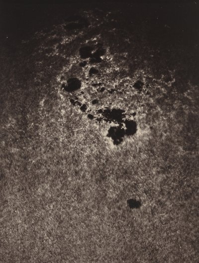 無題 (太陽の表面の研究) 作： Jules Cesar Janssen