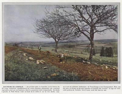 コーフェリックスの高さ 作： Jules Gervais Courtellemont