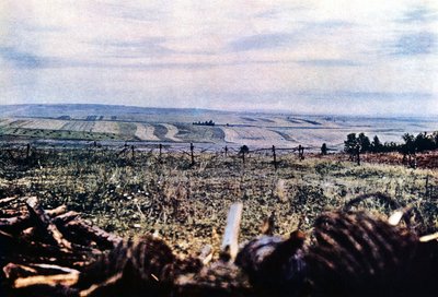 1916年9月、ベルダン近くの有刺鉄線の丘304（オートクローム） 作： Jules Gervais Courtellemont