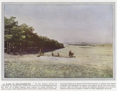 フェアシャンプノワーズの平原 作： Jules Gervais Courtellemont