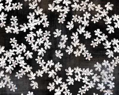 繊細な白い花びら 作： Julia Cheney