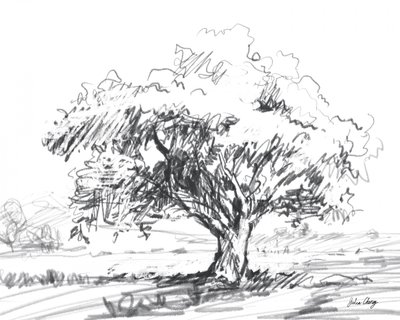 素朴な木の絵 作： Julia Cheney
