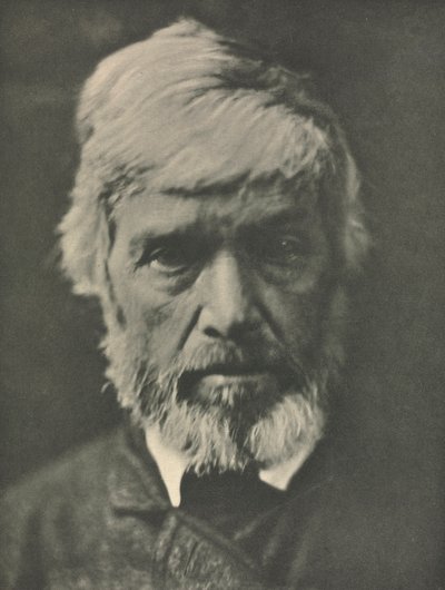 カメラワーク：カーライル、1913年。 作： Julia Margaret Cameron