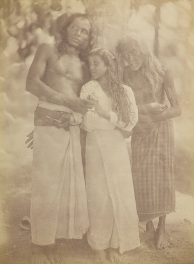 [木のそばのセイロン人グループ」1878年 作： Julia Margaret Cameron