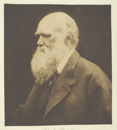 チャールス・ダーウィン 作： Julia Margaret Cameron