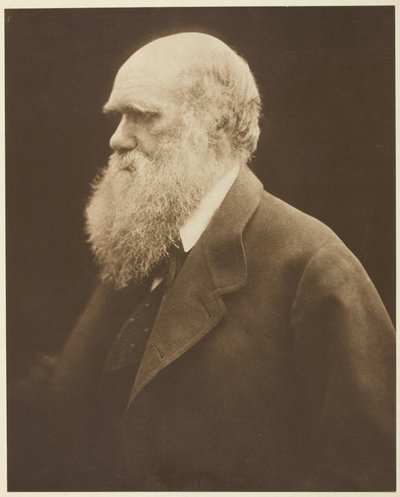 チャールズ・ダーウィン 作： Julia Margaret Cameron