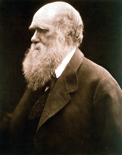 チャールズ・ダーウィン、イギリスの博物学者、1870年代 作： Julia Margaret Cameron