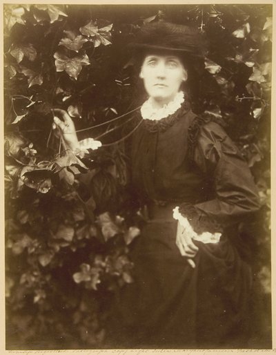 ハーバート・ダックワース夫人（『彼女は美しく歩く） 作： Julia Margaret Cameron