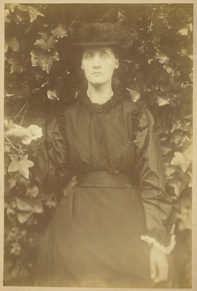 ハーバート・ダックワース夫人 作： Julia Margaret Cameron