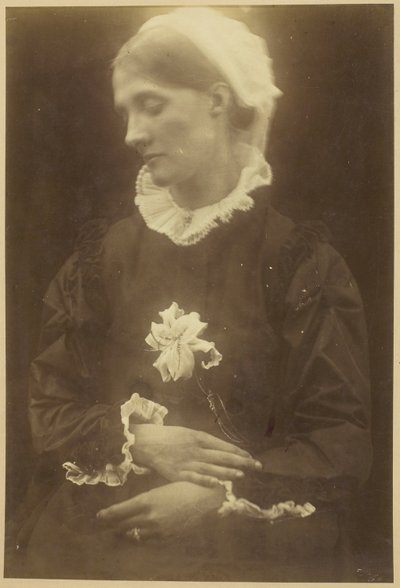 ハーバート・ダックワース夫人 作： Julia Margaret Cameron