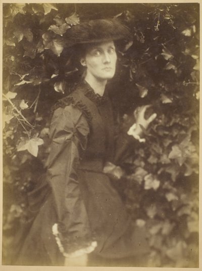 ハーバート・ダックワース夫人 作： Julia Margaret Cameron