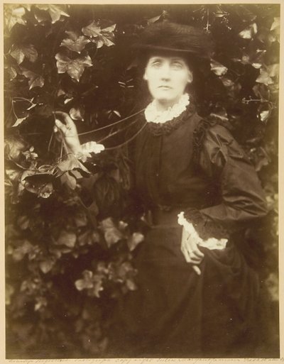 ハーバート・ダックワース夫人 She Walks in Beauty, September, 1874. 作： Julia Margaret Cameron