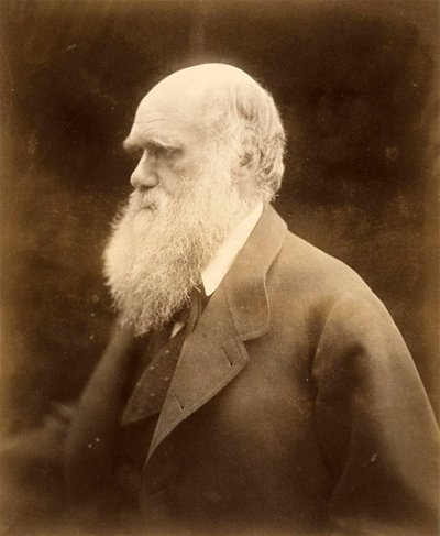 チャールズダーウィンの肖像、1868年 作： Julia Margaret Cameron