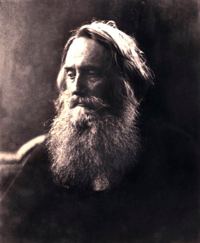 ヘンリーテイラー卿、19世紀のイギリスの劇作家。 作： Julia Margaret Cameron