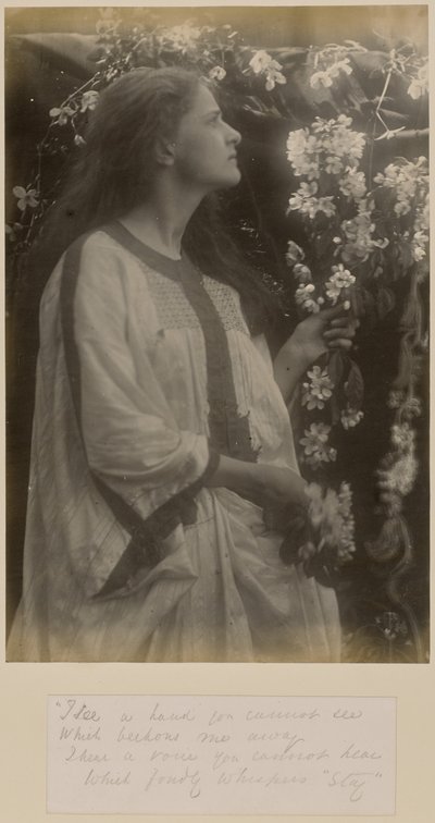 春 作： Julia Margaret Cameron