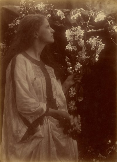 春 作： Julia Margaret Cameron